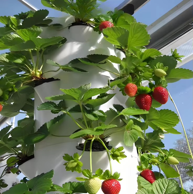 Sistema modular hidropônico de - Urban Farming Wall avaliação e preço